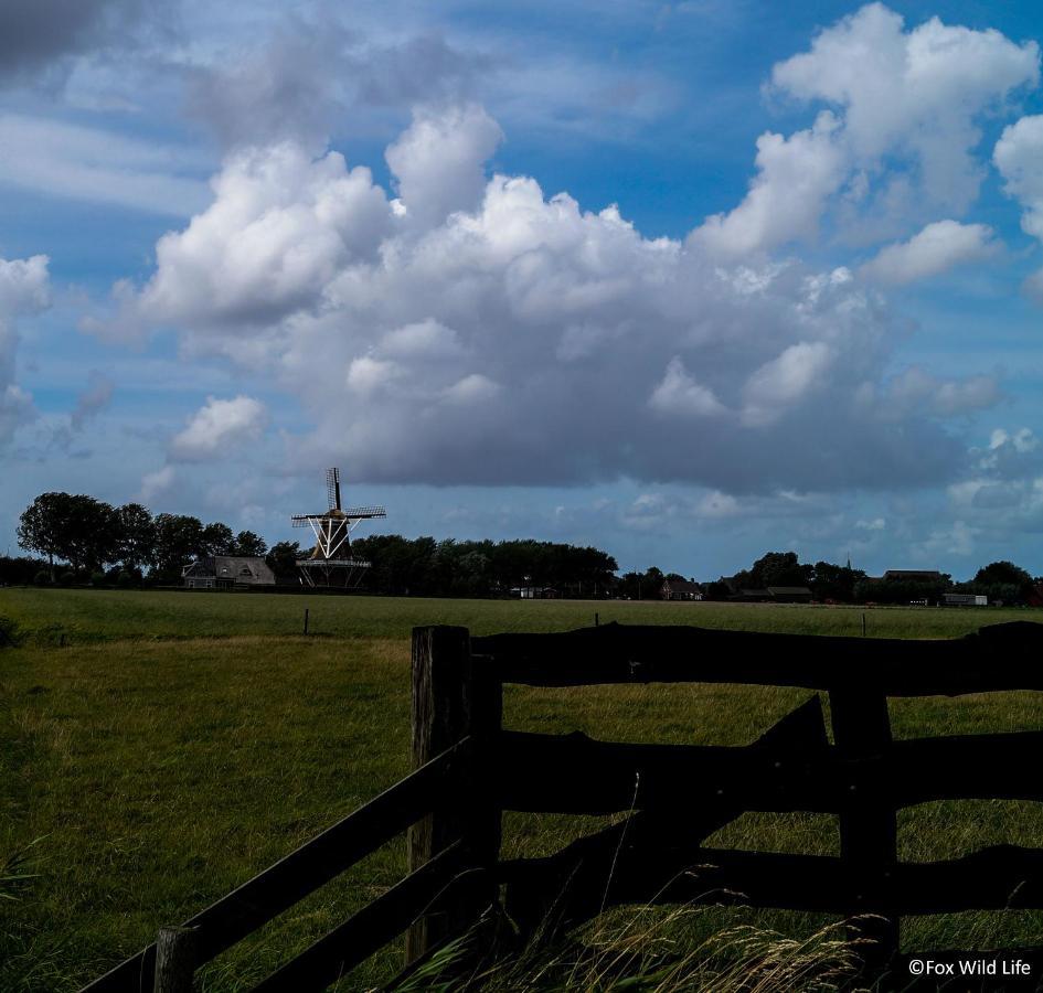 The Wee White Hoose Panzió Oosternijkerk Kültér fotó